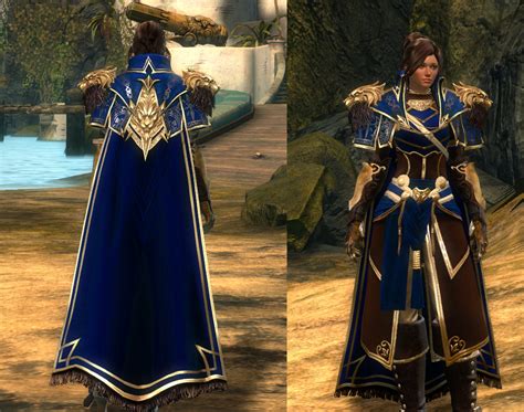 gw2 accessory